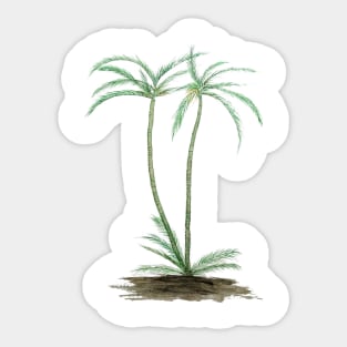 two palm trees watercolor Sticker